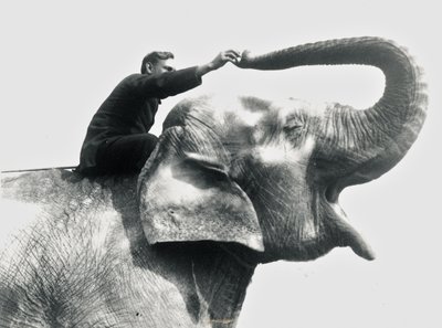 Man riding an elephant, June 1922 by Frederick William Bond